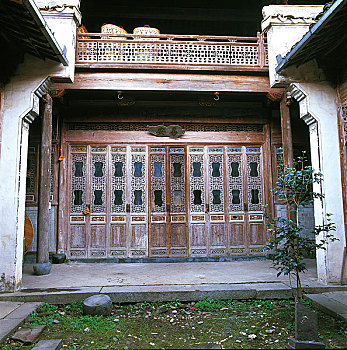 cau bach thu ngay mai