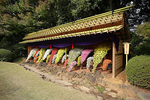 xsmn chu nhat hang tuan