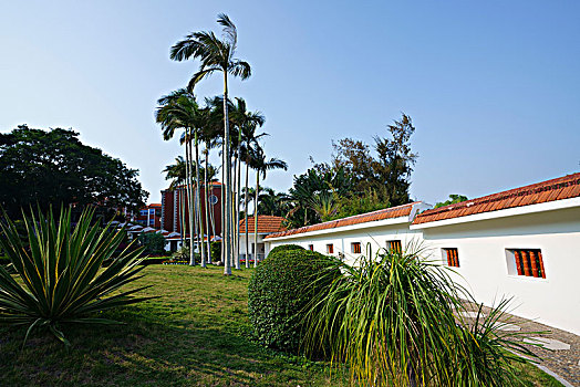 soi câu 2888