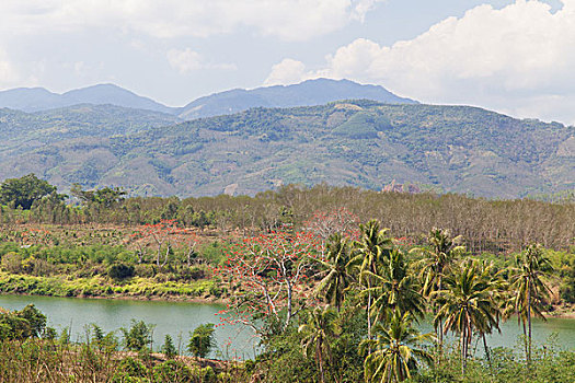 soi cau xsmb rong bach kim