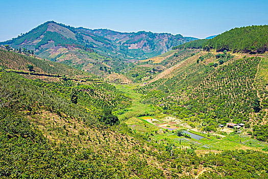 thống kê xổ số tây ninh