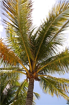 xổ số miền bắc 100
