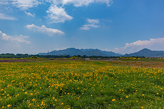 du doan xo so trung thuong hom nay