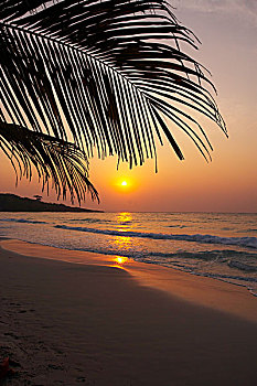 xô số miền nam