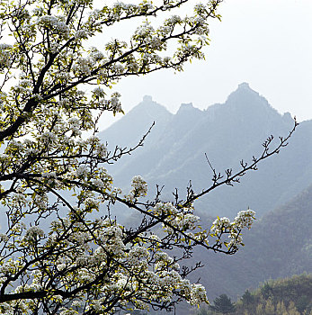 soi cầu chốt số