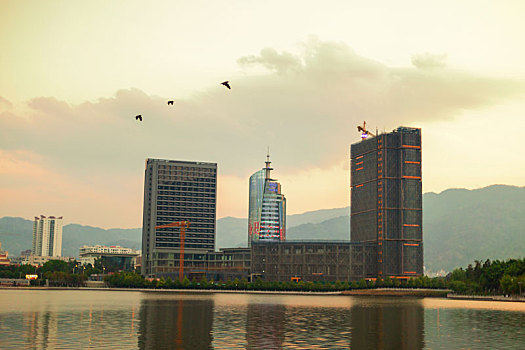 dự đoán mn