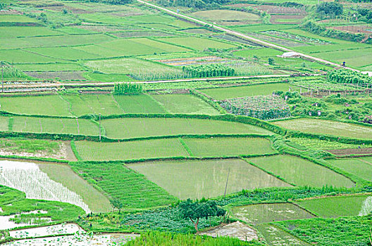 soi cầu siêu chuẩn 6886