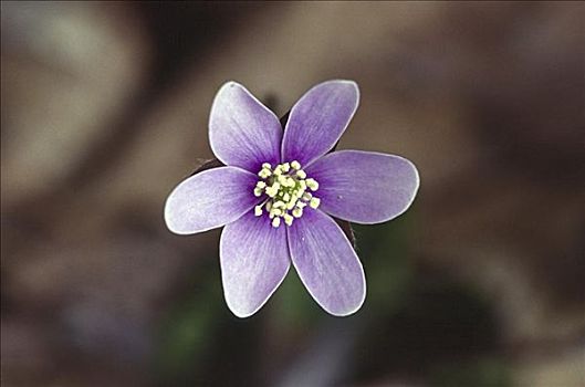 nhà cái số đề