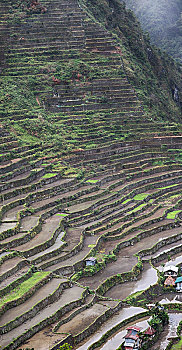 xổ số an giang tuần trước