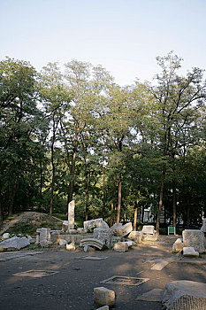 dự đoán bình định