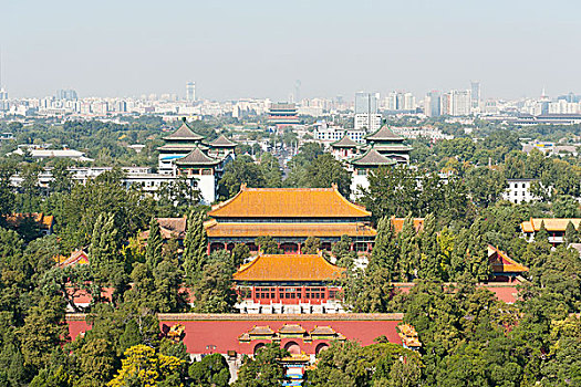 soi cầu rong bach kim