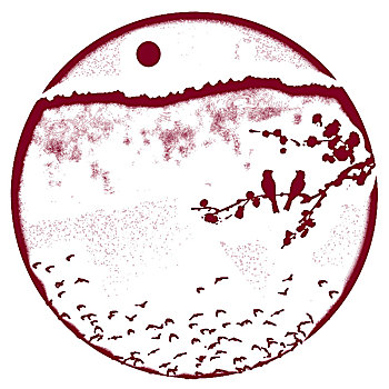 soi cau tp 568