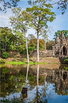 soi cau bach thu lo mien bac