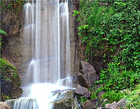 tỷ lệ kèo cái