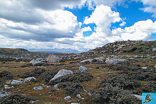 lo de gan