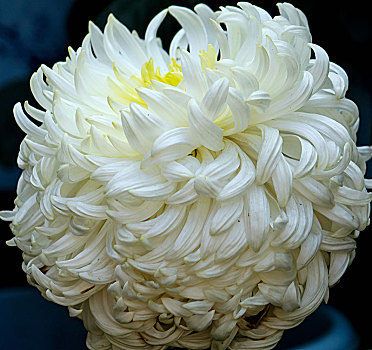 hướng dẫn cách đánh lô