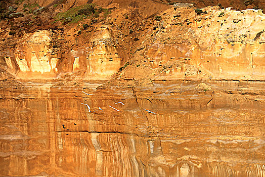 xosobinhduong