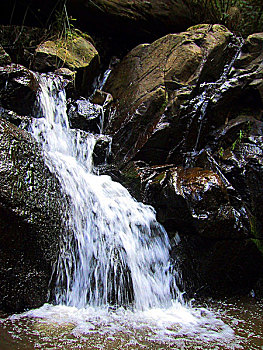 số khánh hòa