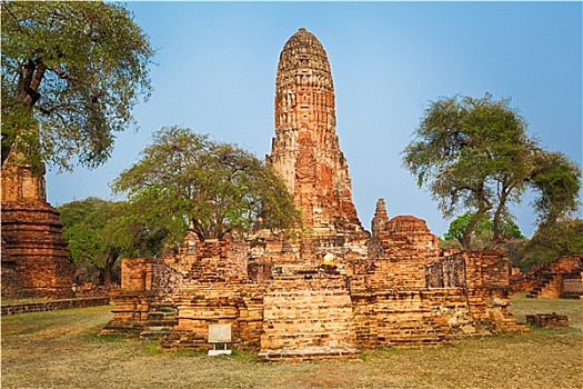 rong bạch kim 88