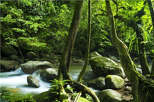 xổ số đại nam