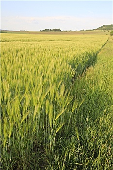 xổ số an