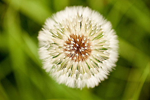 thống kê miền bắc hôm nay
