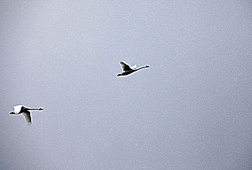 dự đoán xổ