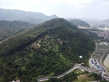 lo bach thu khung 3 ngay