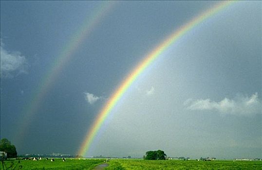 dự đoán xổ số gia lai