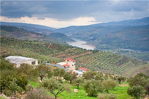 soi cau giai dac biet