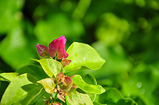 thống kê bạch thủ khung 3 ngày