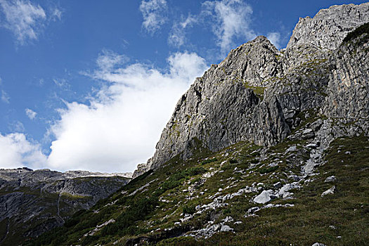 soi câu bach thu