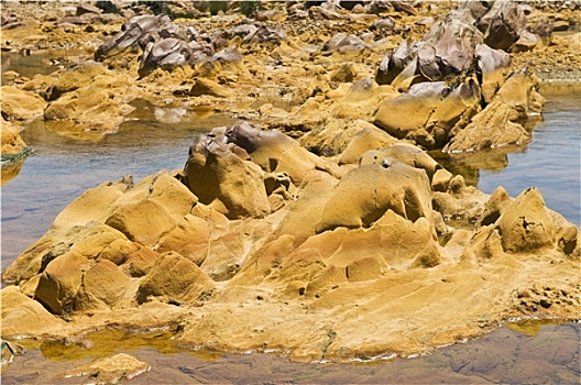 cầu lô miễn phí