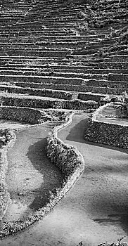 đánh lô trên mạng