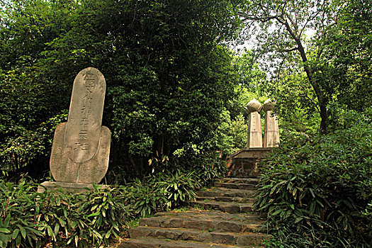 soi cau de bach thu hom nay