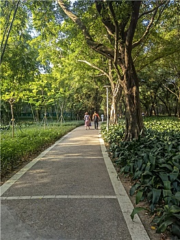 xổ số miền bắc 30 ngày trước