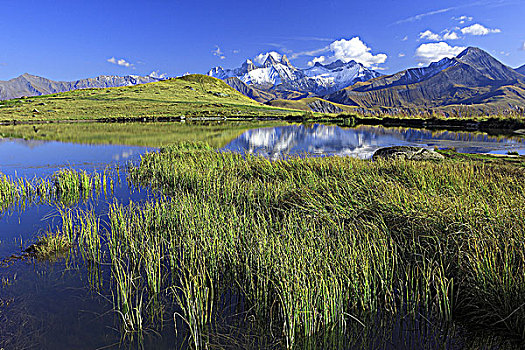 bach thu kep khung 2 ngay