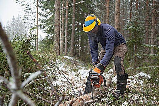 lode online