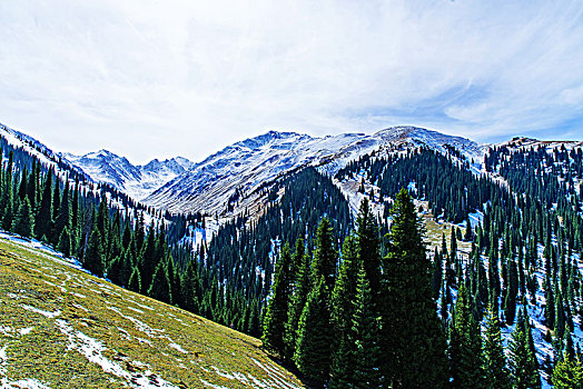 bachthu lo kep