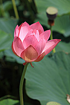 xổ số miền nam xổ số miền nam