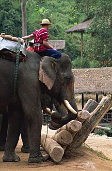 dự đoán lô về cả cặp hôm nay