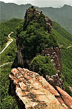 rong bach kim 88