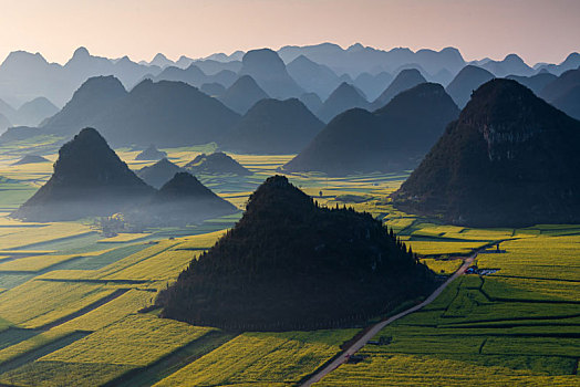 dò vé số