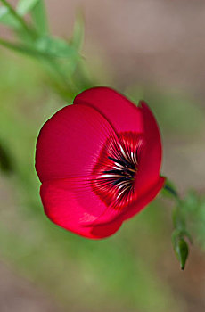 số đề hôm nay