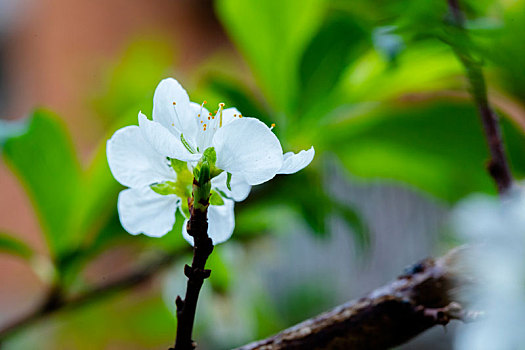 soi cầu lô miễn phí