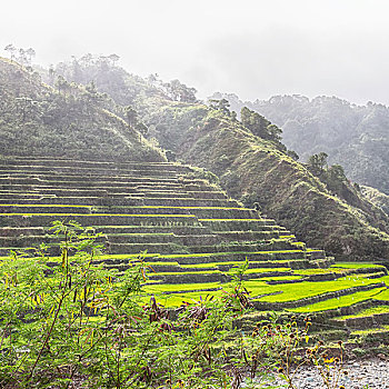 cách chơi lô 3 càng
