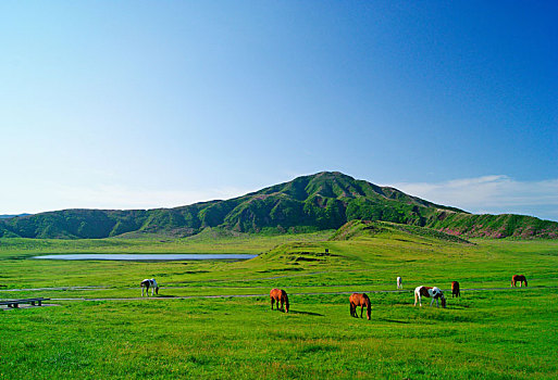 xổ số thử hôm nay