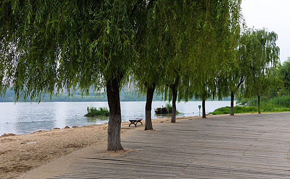 soi cau hoang minh