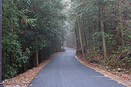 dự đoán