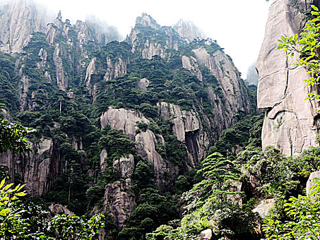 soi bạch thủ lô miền bắc
